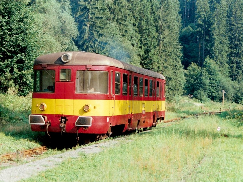 [800x600] 820102b.jpg