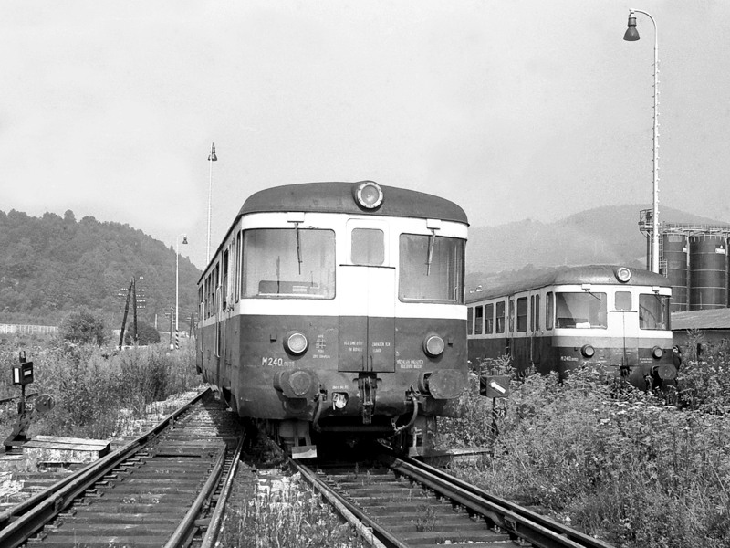 [800x600] 820108a.jpg