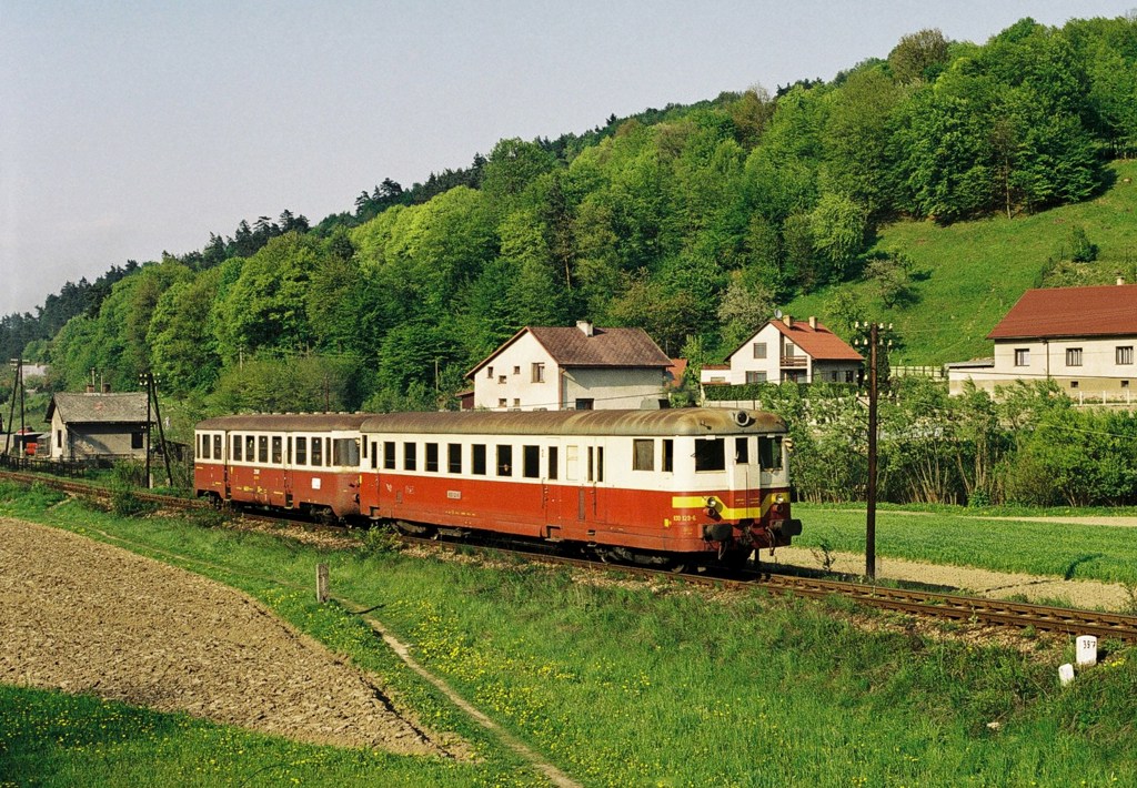 [1024x710] 830123b.jpg