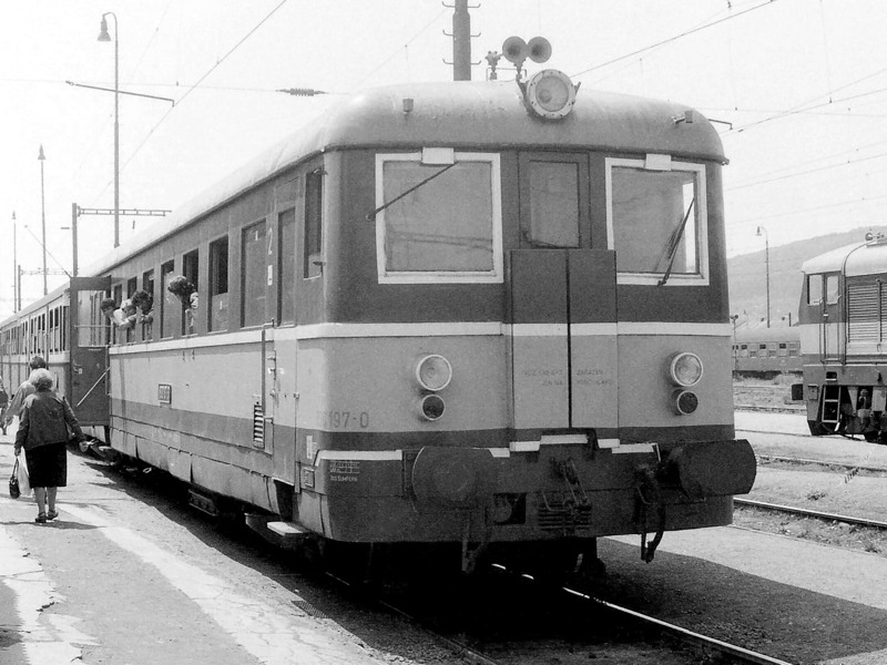 [800x600] 830197d.jpg