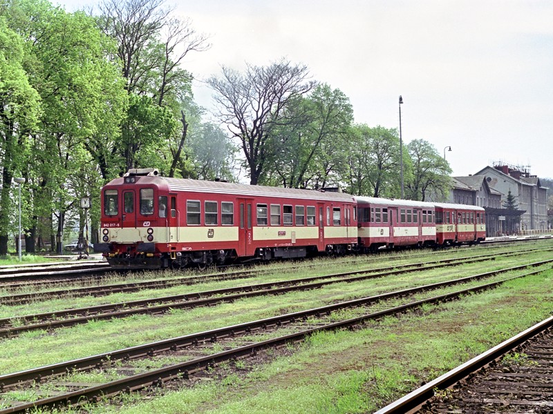 [800x600] 842017b.jpg