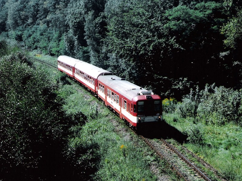 [800x600] 842021c.jpg