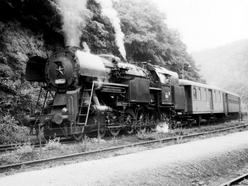 [800x600] P464202_a.jpg