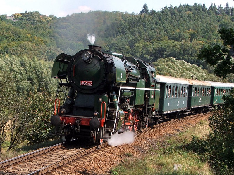 [800x600] P464202_e.jpg