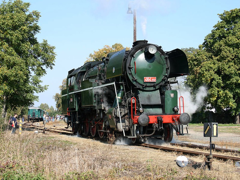 [800x600] P464202_l.jpg