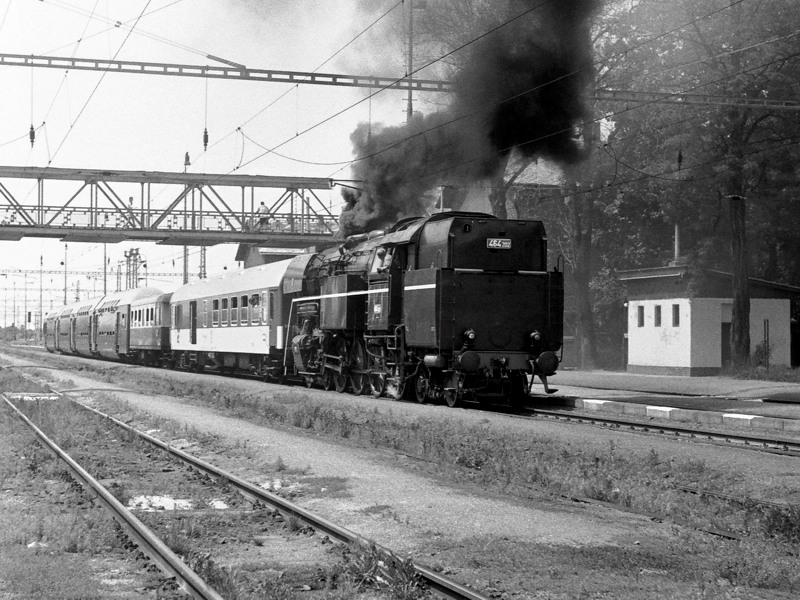 [800x600] P464202_n.jpg