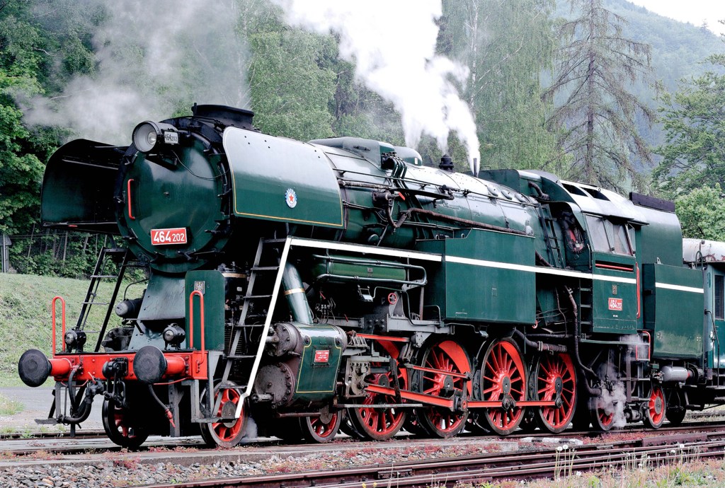 [1024x690] P464202a.jpg