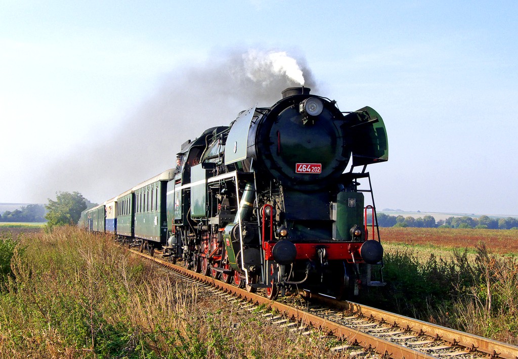 [1024x710] P464202c.jpg