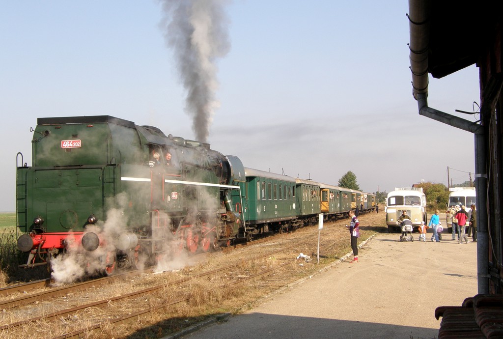 [1024x690] P464202f.jpg