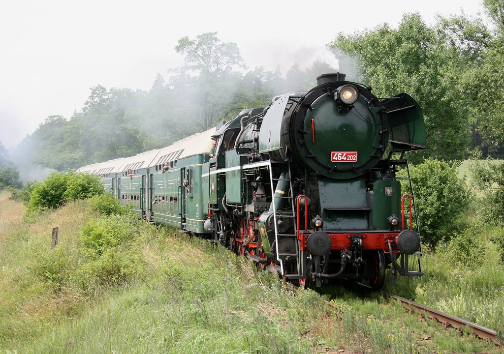 [1024x720] P464202g.jpg