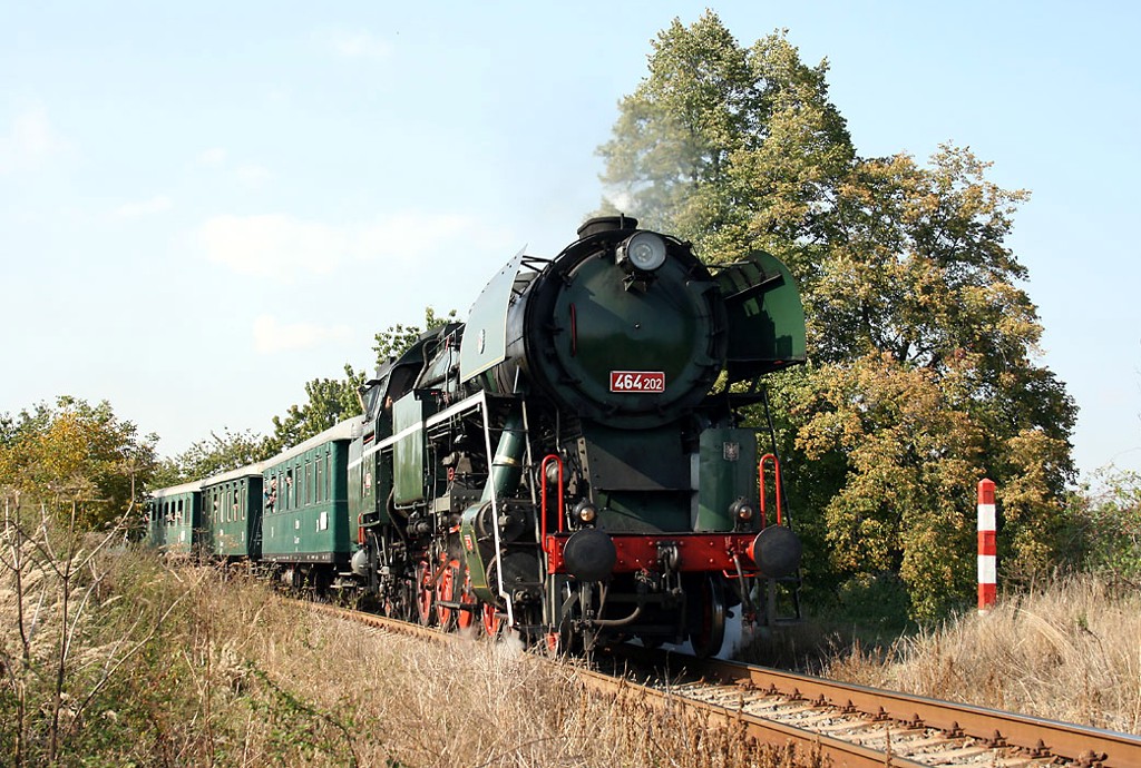 [1024x690] P464202h.jpg