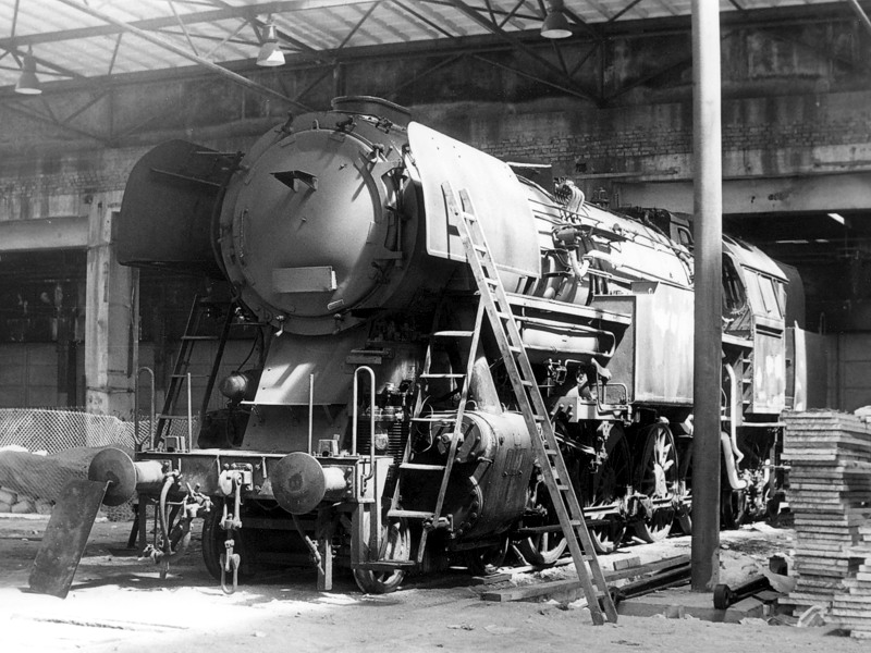 [800x600] P464202p.jpg