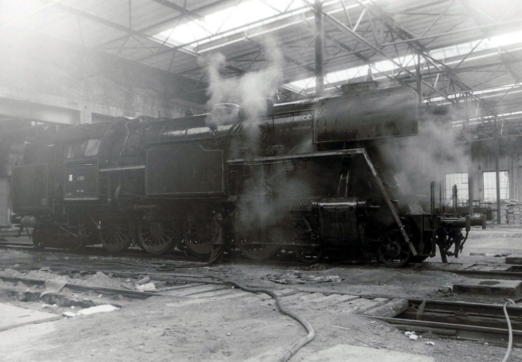 [1024x710] P464202q.jpg