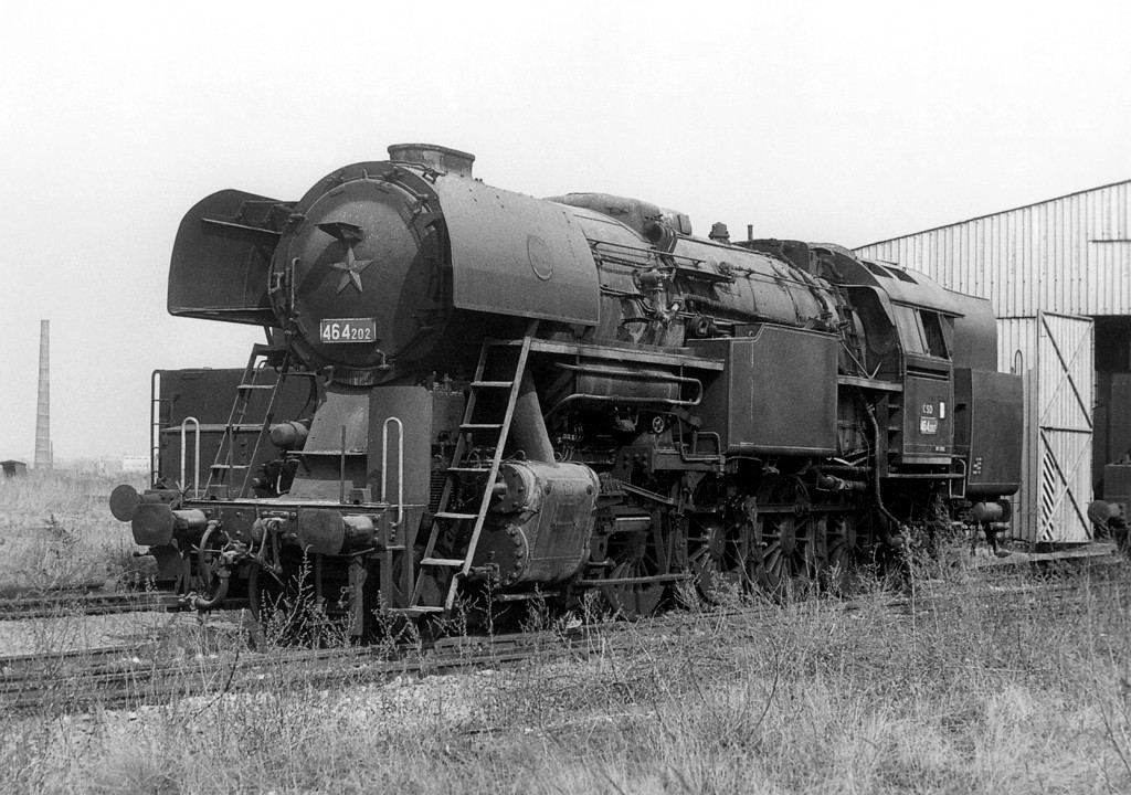 [1024x720] P464202s.jpg