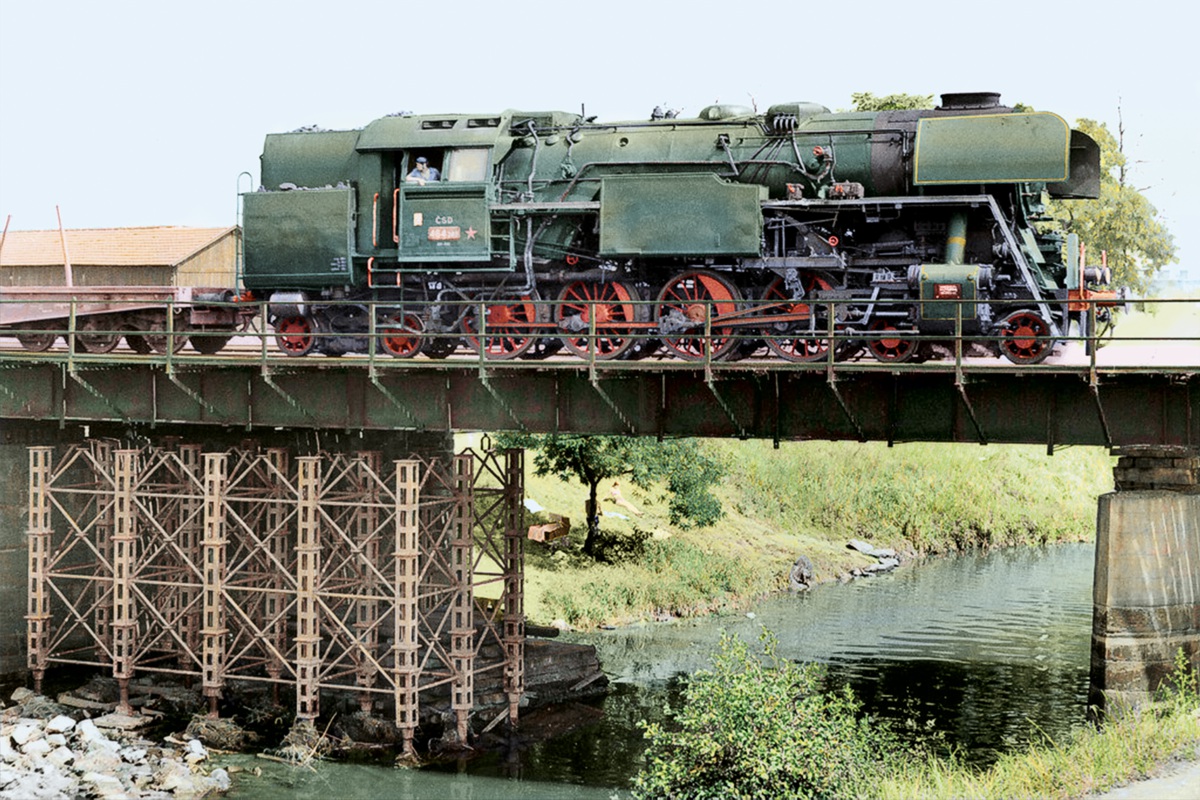 [1200x800] P464202y.jpg