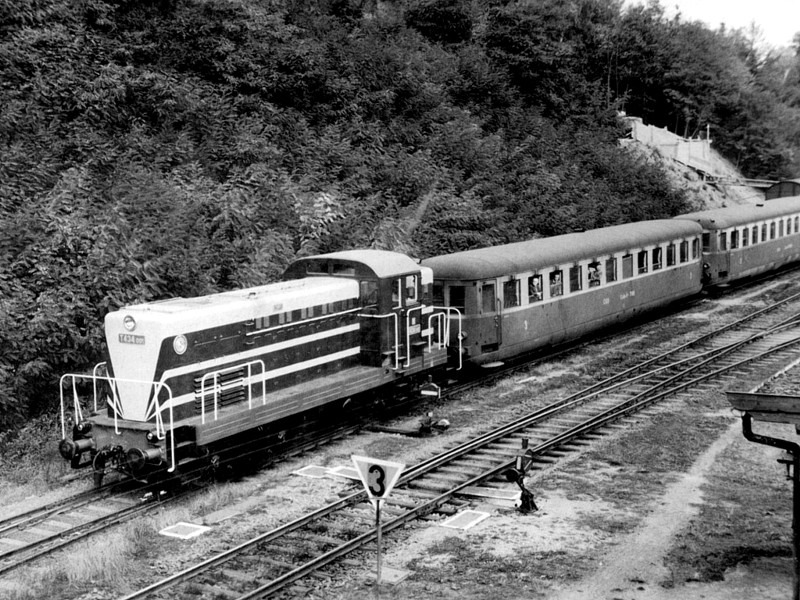 [800x600] T434001d.jpg