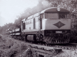 Dl strnka .14, vyhotovena 11.8.2001