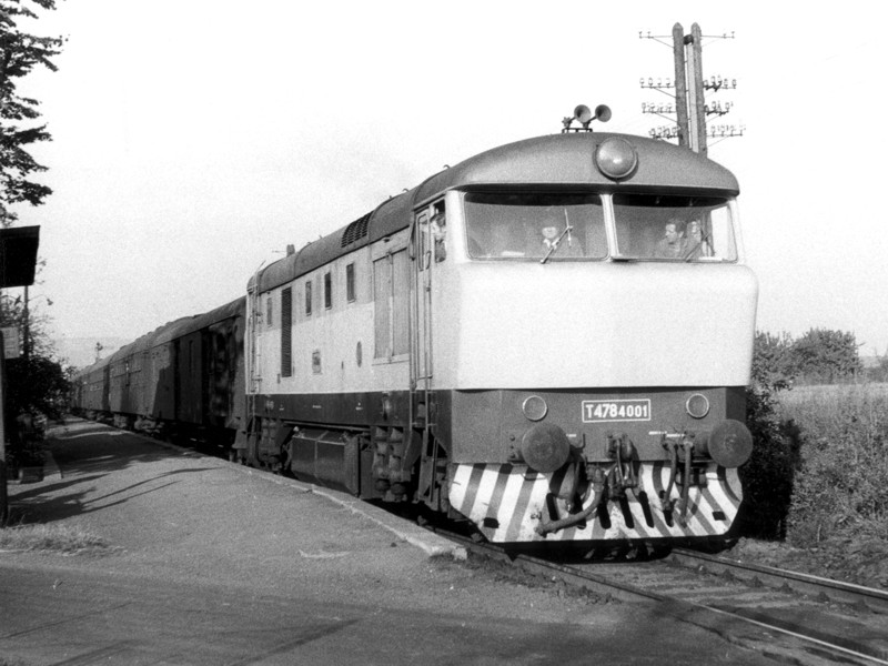 [800x600] T4784501h.jpg