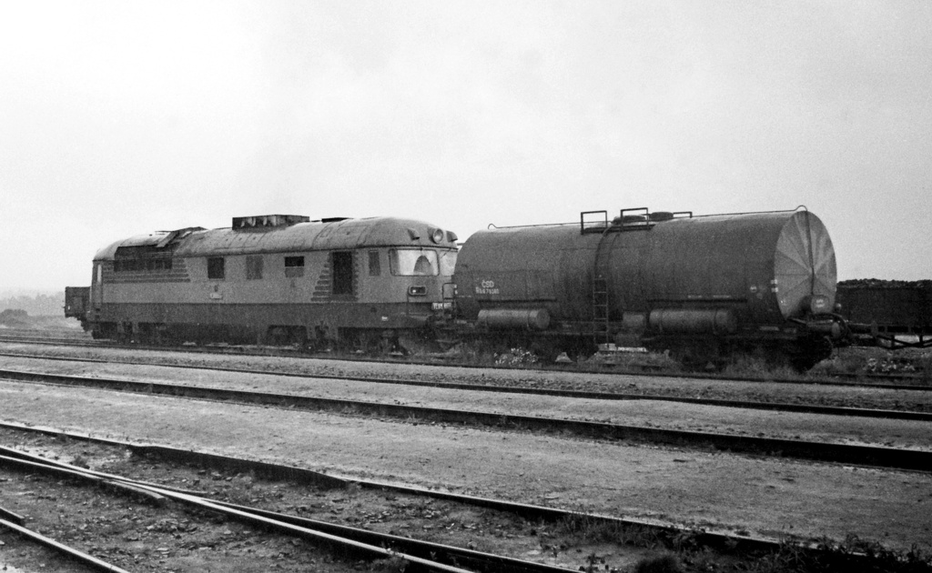 [1024x630] TL659002i.jpg