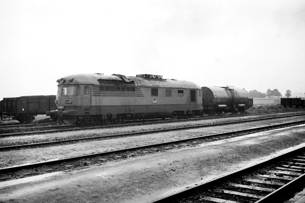 [1024x680] TL659002j.jpg